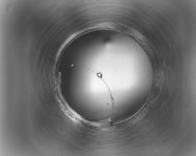 X0000066940808200603241140