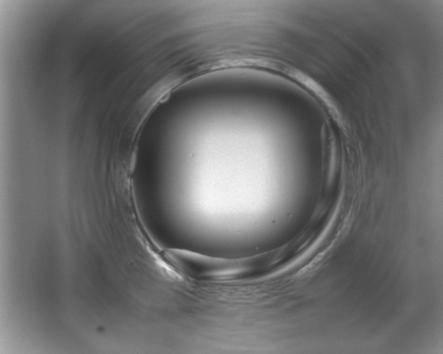 X0000066940809200603241140