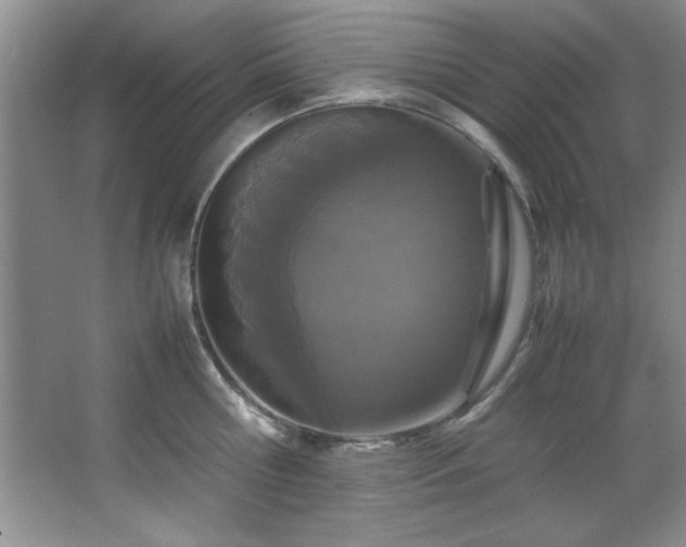 X0000066940810200603241140