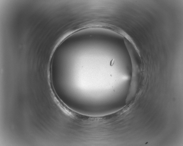 X0000066940811200603241140