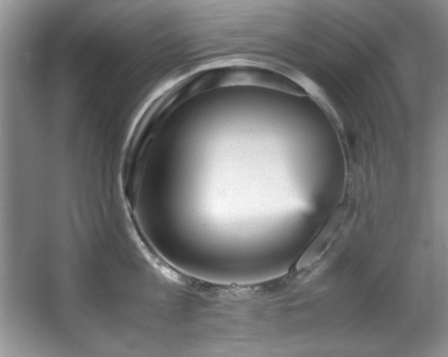 X0000066940813200603241140