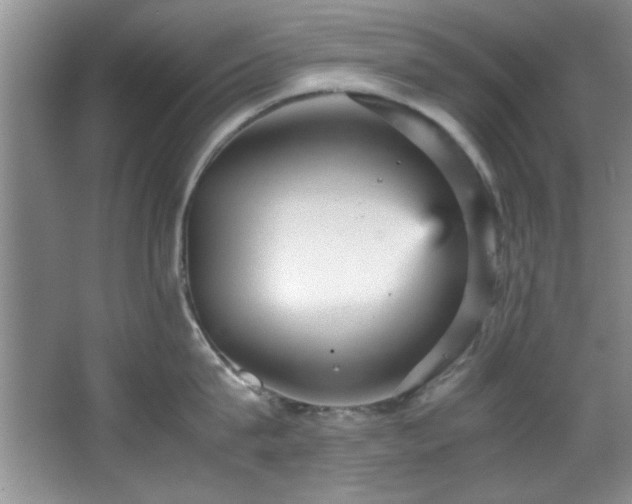 X0000066940815200603241140