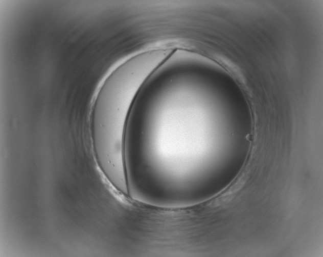 X0000066940816200603241140