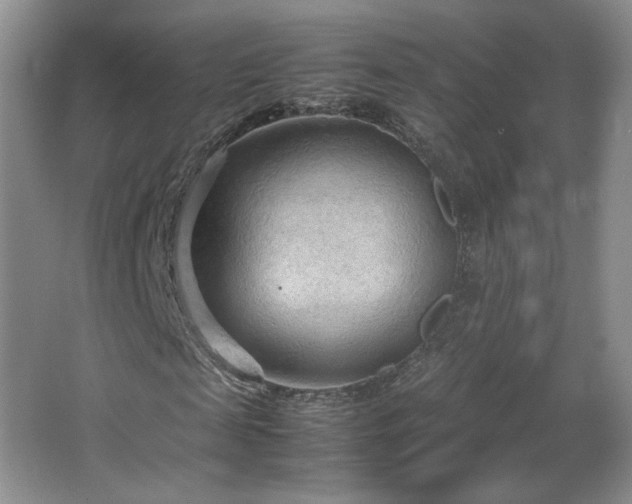 X0000066940817200603241139