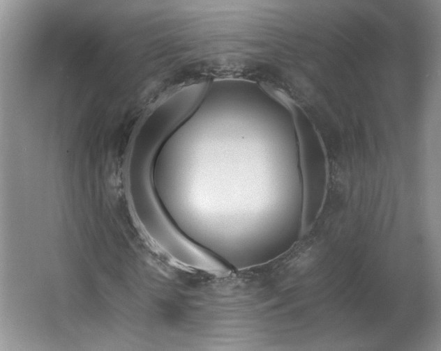 X0000066940818200603241139