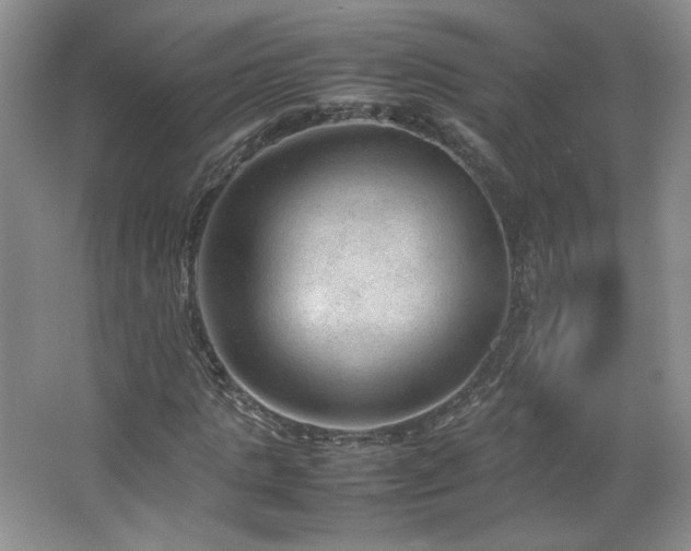 X0000066940821200603241139