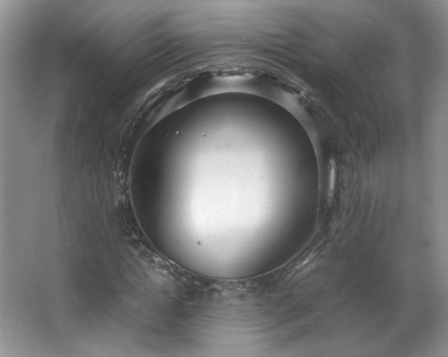 X0000066940822200603241139