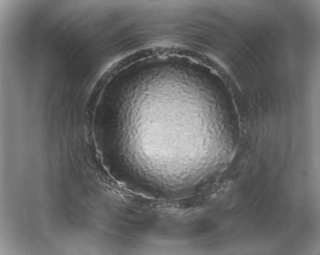 X0000066940823200603241139