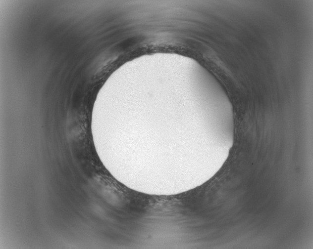 X0000066940824200603241139