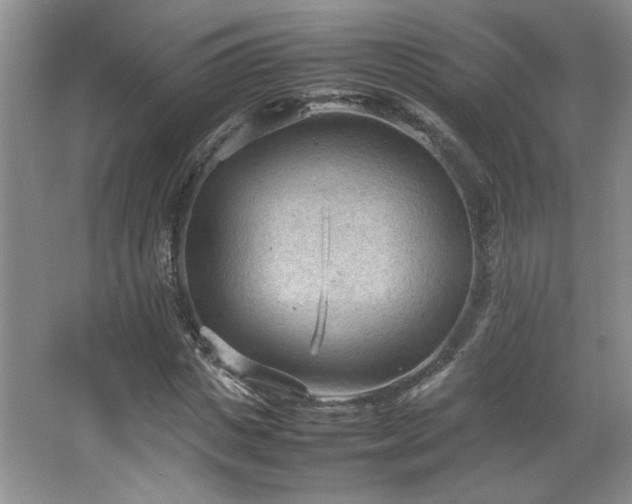 X0000066940825200603241140