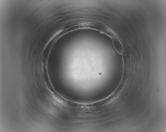 X0000066940827200603241140