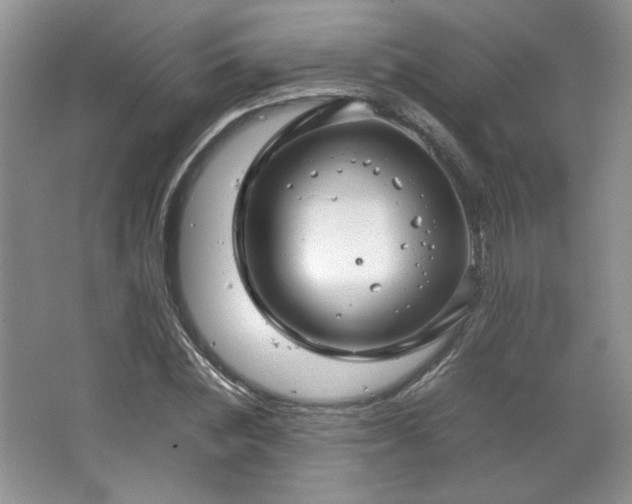 X0000066940828200603241140