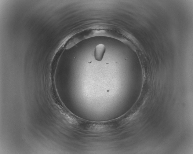 X0000066940829200603241140