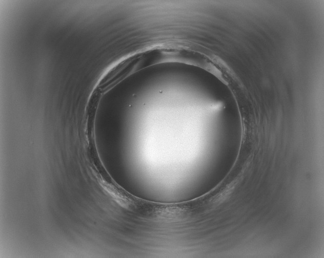 X0000066940830200603241140