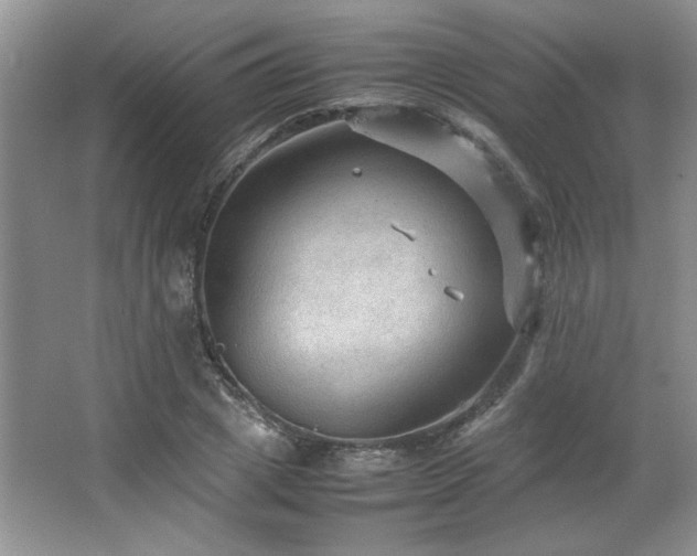 X0000066940833200603241140