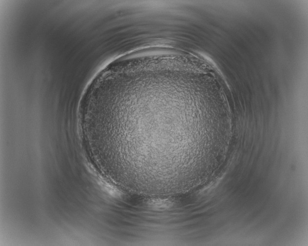 X0000066940835200603241140