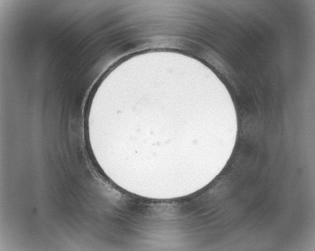 X0000066940836200603241140