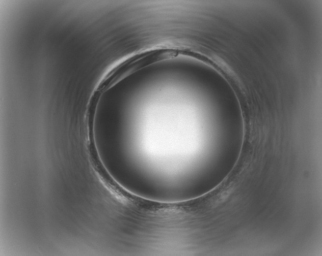 X0000066940838200603241140