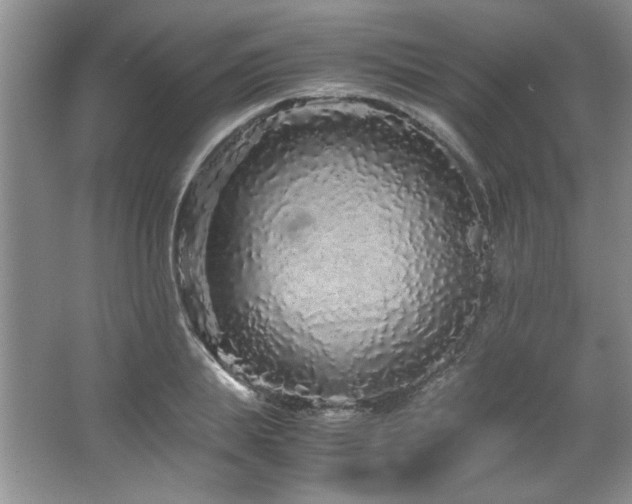 X0000066940839200603241140