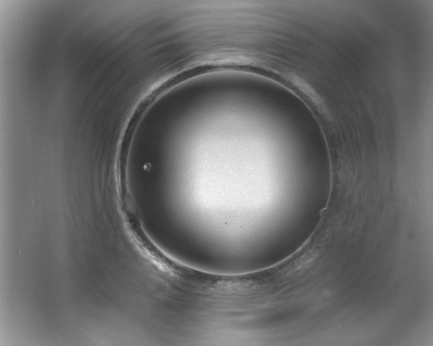 X0000066940840200603241140