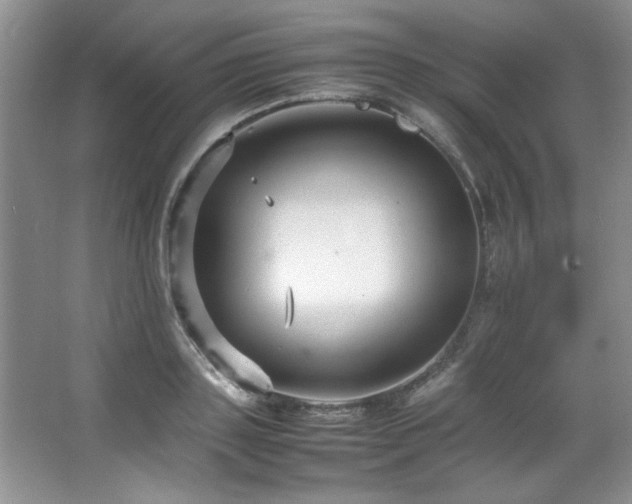 X0000066940843200603241140