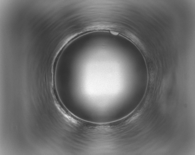 X0000066940844200603241140