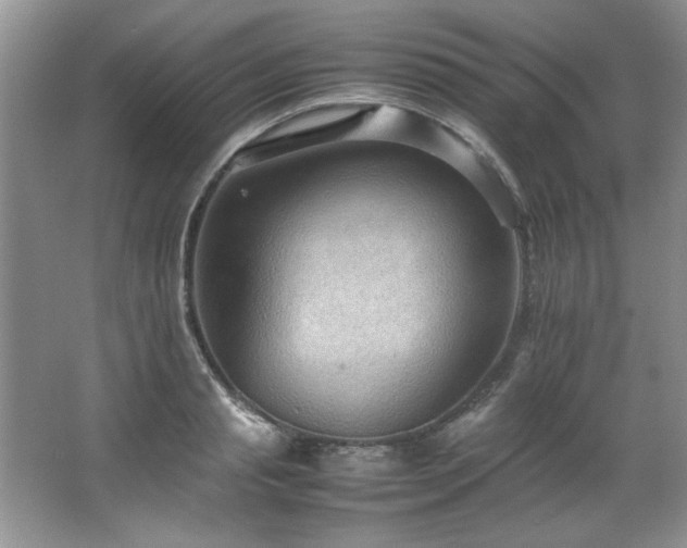 X0000066940845200603241140