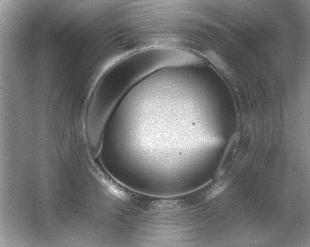 X0000066940846200603241140