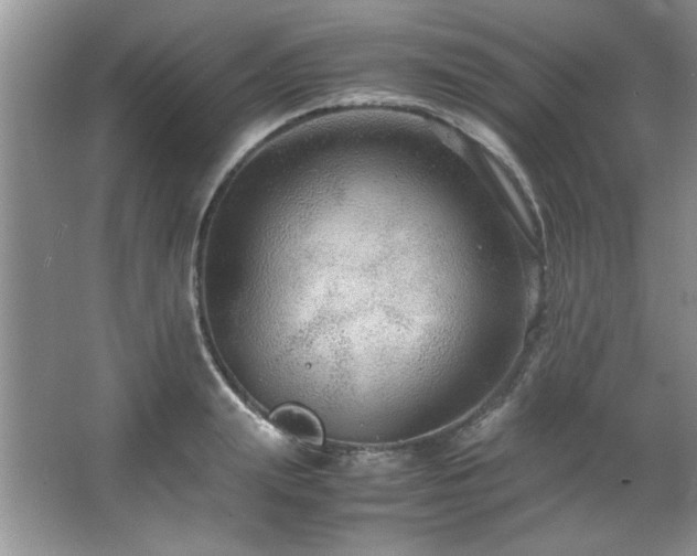 X0000066940847200603241140