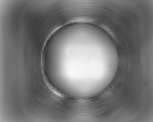 X0000066940848200603241140