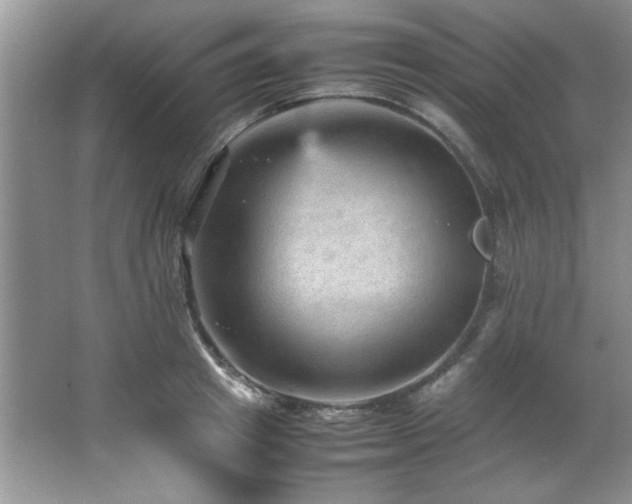 X0000066940849200603241140