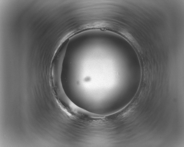 X0000066940850200603241140