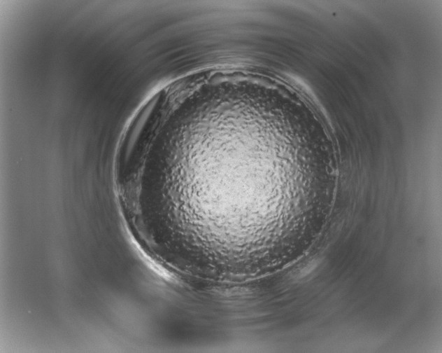 X0000066940851200603241140