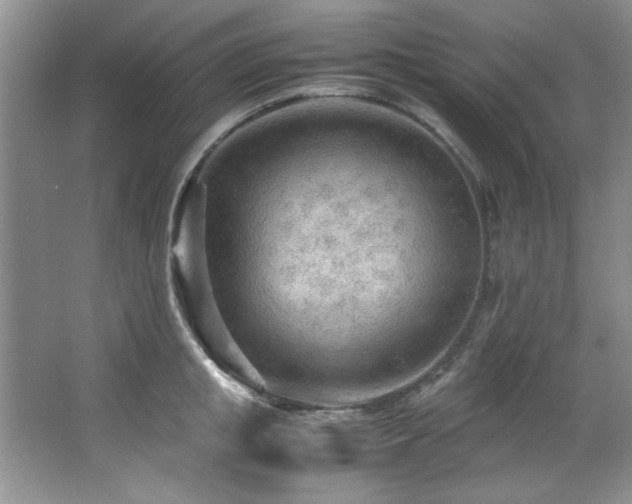 X0000066940853200603241140