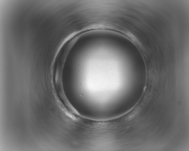 X0000066940854200603241140