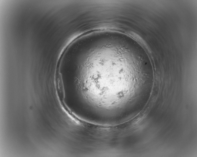 X0000066940855200603241140