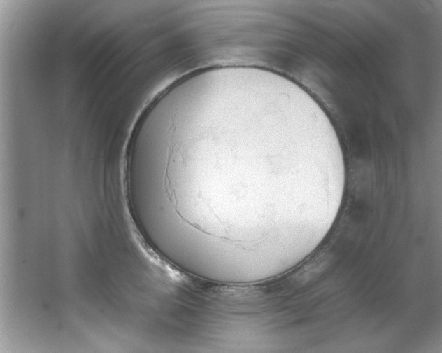 X0000066940856200603241140