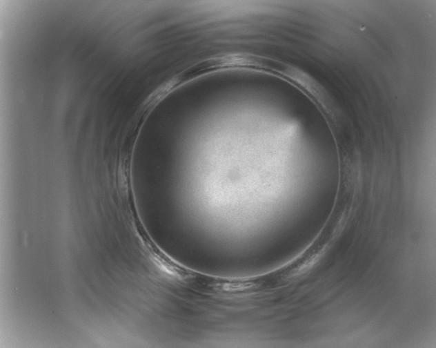 X0000066940857200603241140