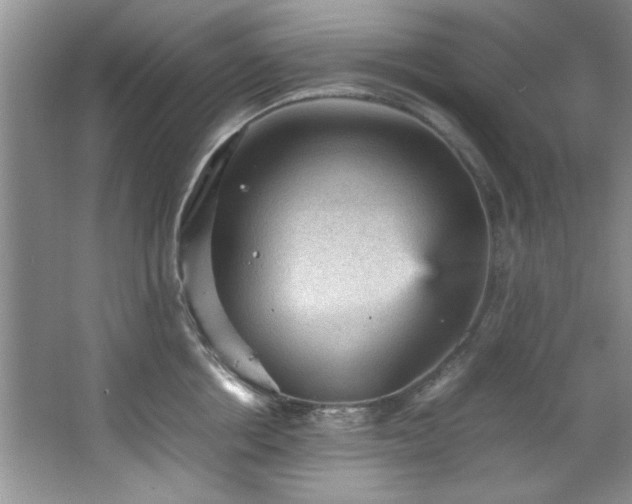 X0000066940858200603241140