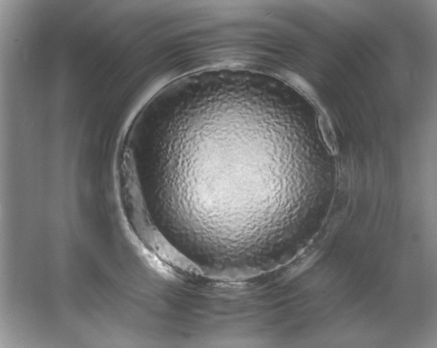 X0000066940859200603241140