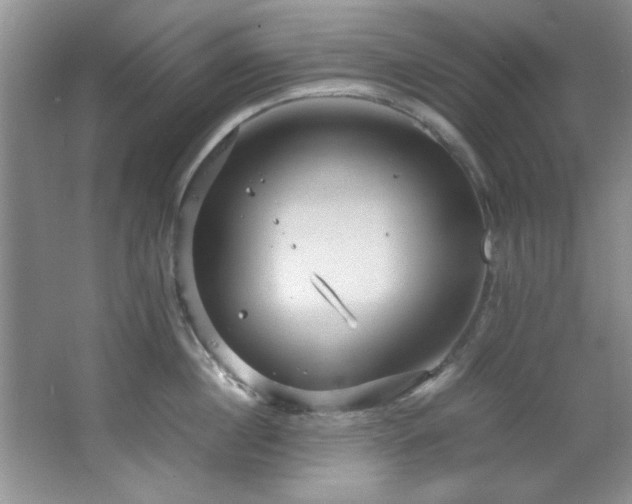 X0000066940860200603241140