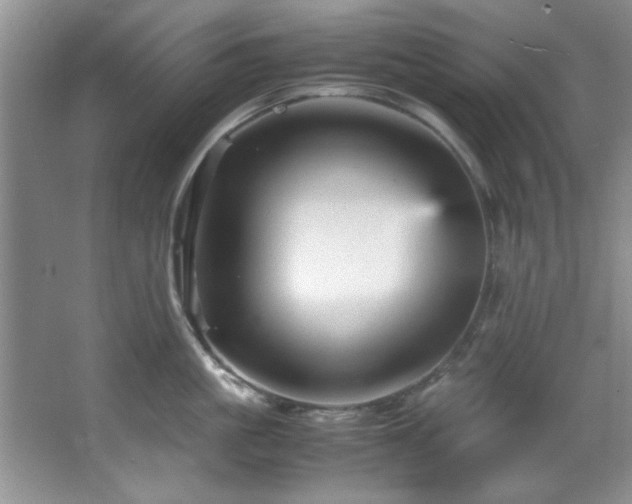 X0000066940861200603241140