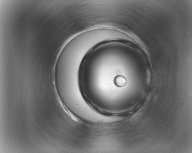 X0000066940862200603241140