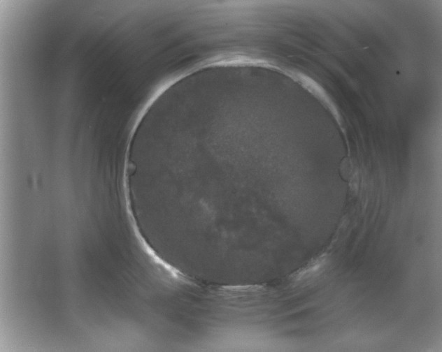 X0000066940863200603241140