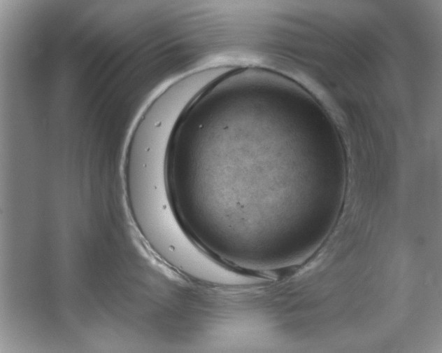 X0000066940864200603241140