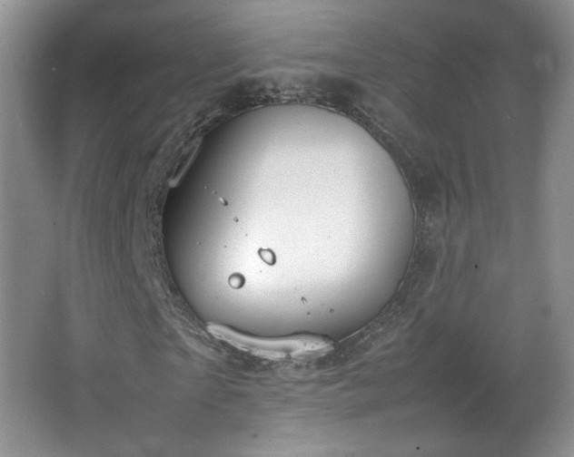 X0000066940865200603241139