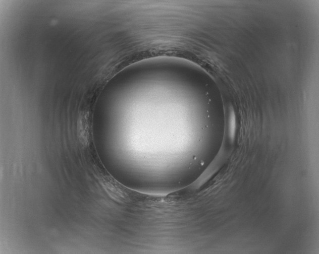 X0000066940868200603241139