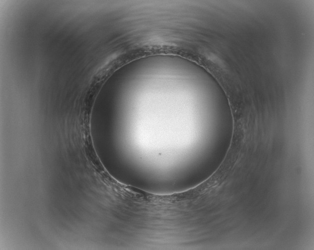 X0000066940870200603241139