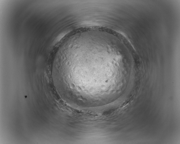 X0000066940871200603241139