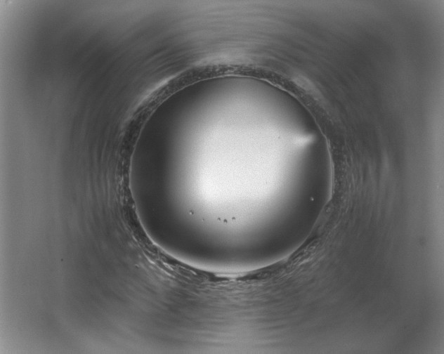 X0000066940872200603241139